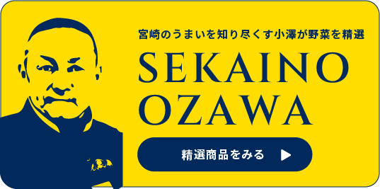 SEKAINO OZAWA